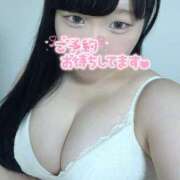 ヒメ日記 2025/06/12 21:53 投稿 ふわり もみもみワンダーランド