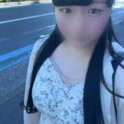 ヒメ日記 2025/06/21 15:23 投稿 ふわり もみもみワンダーランド