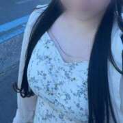 ヒメ日記 2025/07/06 19:23 投稿 ふわり もみもみワンダーランド