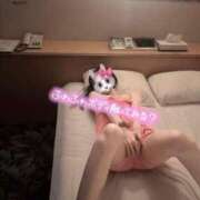 ヒメ日記 2025/04/27 23:29 投稿 めい☆STANDARD Ribbon 1st