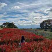 ヒメ日記 2025/05/21 09:03 投稿 めい☆STANDARD Ribbon 1st