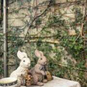 ヒメ日記 2025/06/28 08:23 投稿 めい☆STANDARD Ribbon 1st