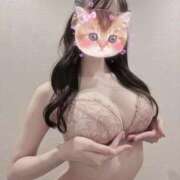 ヒメ日記 2025/09/05 17:17 投稿 めい☆STANDARD Ribbon 1st