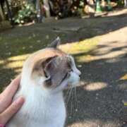 ヒメ日記 2025/11/06 07:04 投稿 めい☆STANDARD Ribbon 1st