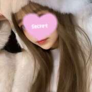 りんりん はじめまして🎀🐾 プロフィール加古川