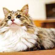 ヒメ日記 2025/06/22 18:53 投稿 みすず クラブKG