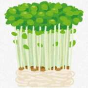 ヒメ日記 2026/01/20 15:53 投稿 みすず クラブKG