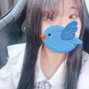 ヒメ日記 2025/06/04 18:41 投稿 せいか LEVEL1