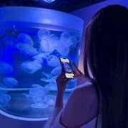 ヒメ日記 2025/10/14 12:24 投稿 ユキナ【妖艶な女神にめろめろ】 秘書コレクション 高松店