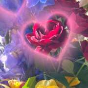 ヒメ日記 2025/04/28 22:52 投稿 こと ハピネス福岡