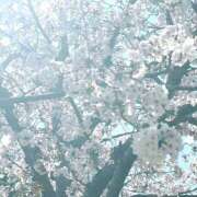 ヒメ日記 2025/04/28 23:02 投稿 こと ハピネス福岡