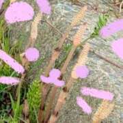 ヒメ日記 2025/04/28 23:32 投稿 こと ハピネス福岡