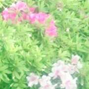 ヒメ日記 2025/05/01 01:12 投稿 こと ハピネス福岡