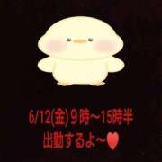 ヒメ日記 2026/06/10 19:52 投稿 こと ハピネス福岡