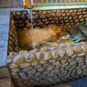 ヒメ日記 2026/01/26 10:12 投稿 秋野そら ミニスカCandy8