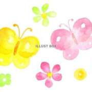 ヒメ日記 2025/09/19 19:19 投稿 ゆな 一夜妻