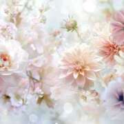 ヒメ日記 2025/11/16 20:29 投稿 ゆな 一夜妻