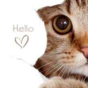 ヒメ日記 2025/06/18 12:36 投稿 アコ★新人 人妻生レンタル-石巻-