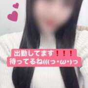 ヒメ日記 2025/05/15 14:39 投稿 ゆめ チェックイン素人専門大人女子