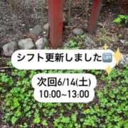 ヒメ日記 2025/06/12 20:19 投稿 ゆめ チェックイン素人専門大人女子