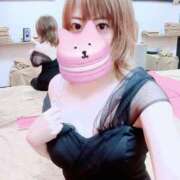 ヒメ日記 2025/04/26 14:00 投稿 ことり Ace(エース)