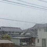 ヒメ日記 2025/05/02 09:42 投稿 ことり Ace(エース)