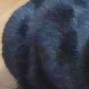 ヒメ日記 2025/05/05 08:30 投稿 ことり Ace(エース)