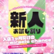 ヒメ日記 2025/05/07 10:30 投稿 ことり Ace(エース)