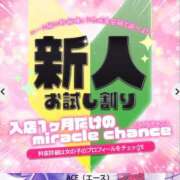 ヒメ日記 2025/05/07 23:15 投稿 ことり Ace(エース)