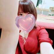 ヒメ日記 2025/05/08 11:08 投稿 ことり Ace(エース)