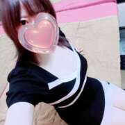 ヒメ日記 2025/05/13 09:15 投稿 ことり Ace(エース)