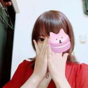 ヒメ日記 2025/05/14 10:49 投稿 ことり Ace(エース)