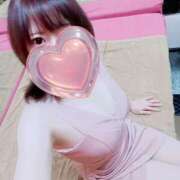 ヒメ日記 2025/05/15 13:30 投稿 ことり Ace(エース)