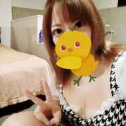 ヒメ日記 2025/05/28 22:30 投稿 ことり Ace(エース)