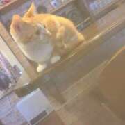 ヒメ日記 2025/05/05 09:43 投稿 ひな ふわもこ人妻ランド　那須塩原店