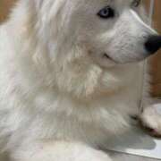 ヒメ日記 2025/05/09 18:22 投稿 めるる 横浜・関内サンキュー