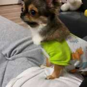 ヒメ日記 2025/07/06 20:22 投稿 めるる 横浜・関内サンキュー