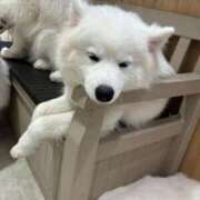 ヒメ日記 2025/07/09 21:42 投稿 めるる 横浜・関内サンキュー