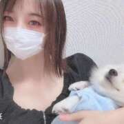 ヒメ日記 2025/07/18 19:22 投稿 めるる 横浜・関内サンキュー