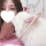 ヒメ日記 2025/08/24 21:12 投稿 めるる 横浜・関内サンキュー