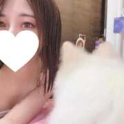 ヒメ日記 2025/08/26 00:42 投稿 めるる 横浜・関内サンキュー