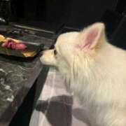 ヒメ日記 2025/09/30 22:42 投稿 めるる 横浜・関内サンキュー