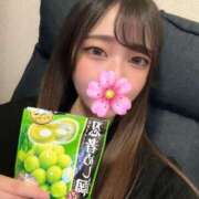 ヒメ日記 2025/04/26 17:02 投稿 れんか びくびくサークル五反田店