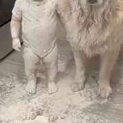 ヒメ日記 2026/03/15 15:07 投稿 みゆう 奥様の実話 梅田店