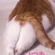 ヒメ日記 2026/03/30 19:15 投稿 みゆう 奥様の実話 梅田店