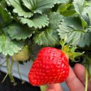 ヒメ日記 2025/05/02 08:58 投稿 そあら 京都BOOK MARK（ブックマーク）