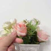 ヒメ日記 2025/05/23 08:28 投稿 そあら 京都BOOK MARK（ブックマーク）