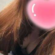 ヒメ日記 2025/07/08 16:47 投稿 武井　かおり 東京ローズマリー