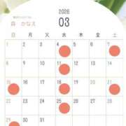 ヒメ日記 2026/02/20 21:02 投稿 森　かなえ YOKOHAMA FIVESTAR（横浜ファイブスター）