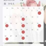 ヒメ日記 2026/03/24 21:03 投稿 森　かなえ YOKOHAMA FIVESTAR（横浜ファイブスター）